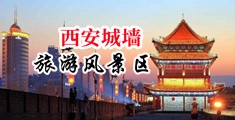 大鸡巴操美女大逼啪嗒的中国陕西-西安城墙旅游风景区