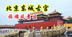 操逼逼爽歪歪免费中国北京-东城古宫旅游风景区